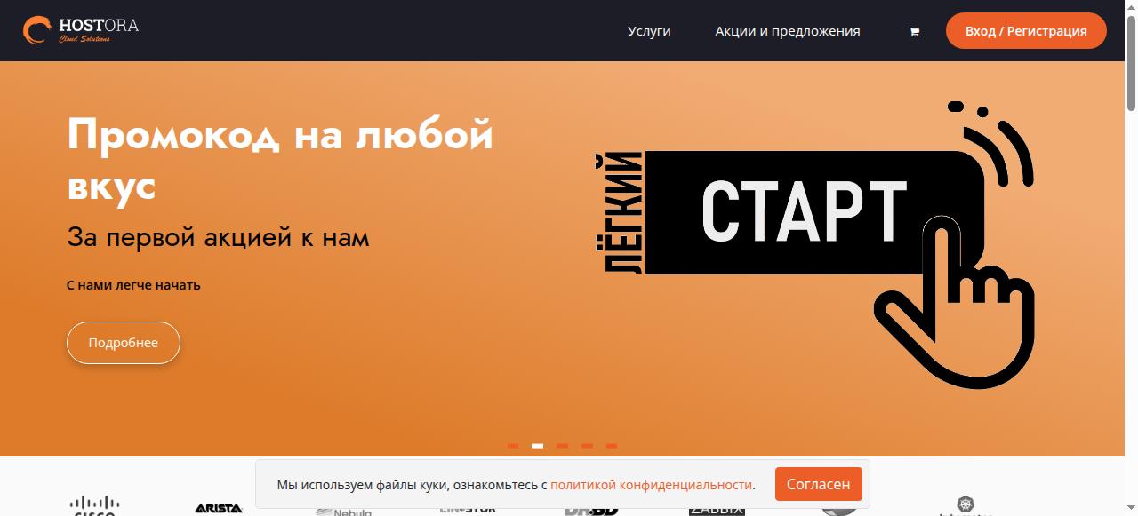 Превью главной страницы hostora.ru