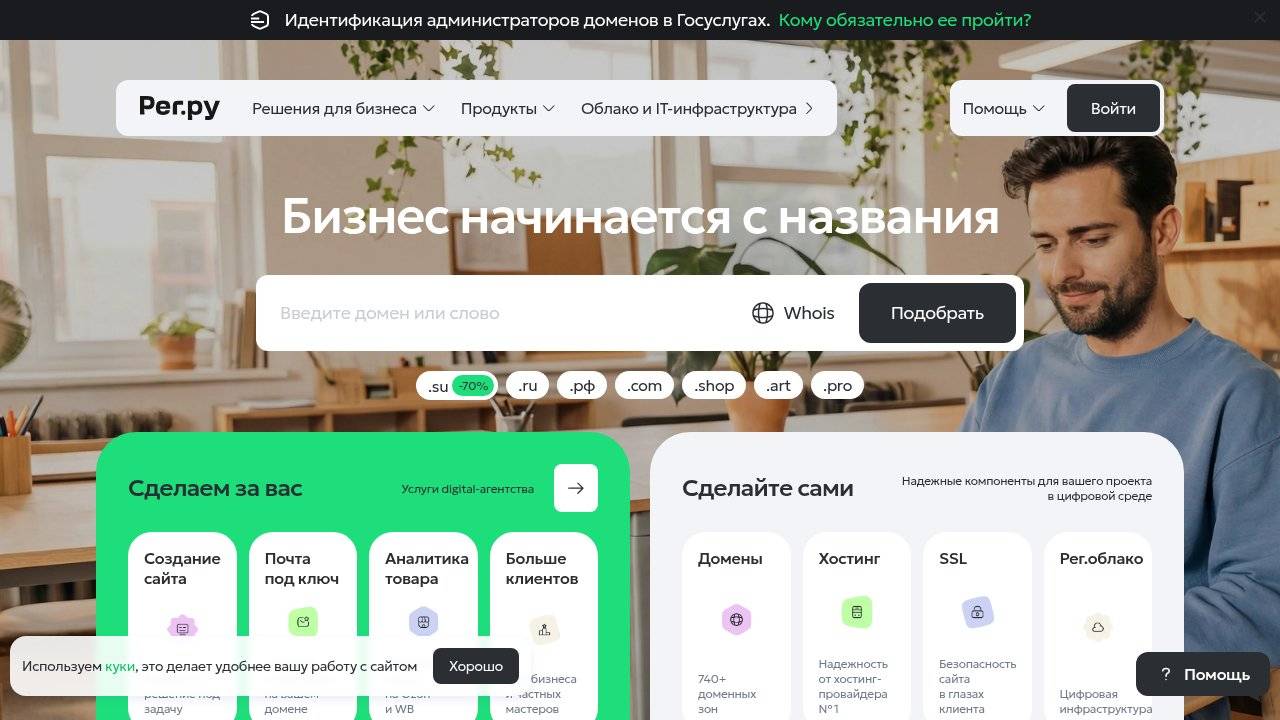 Превью главной страницы Reg.ru